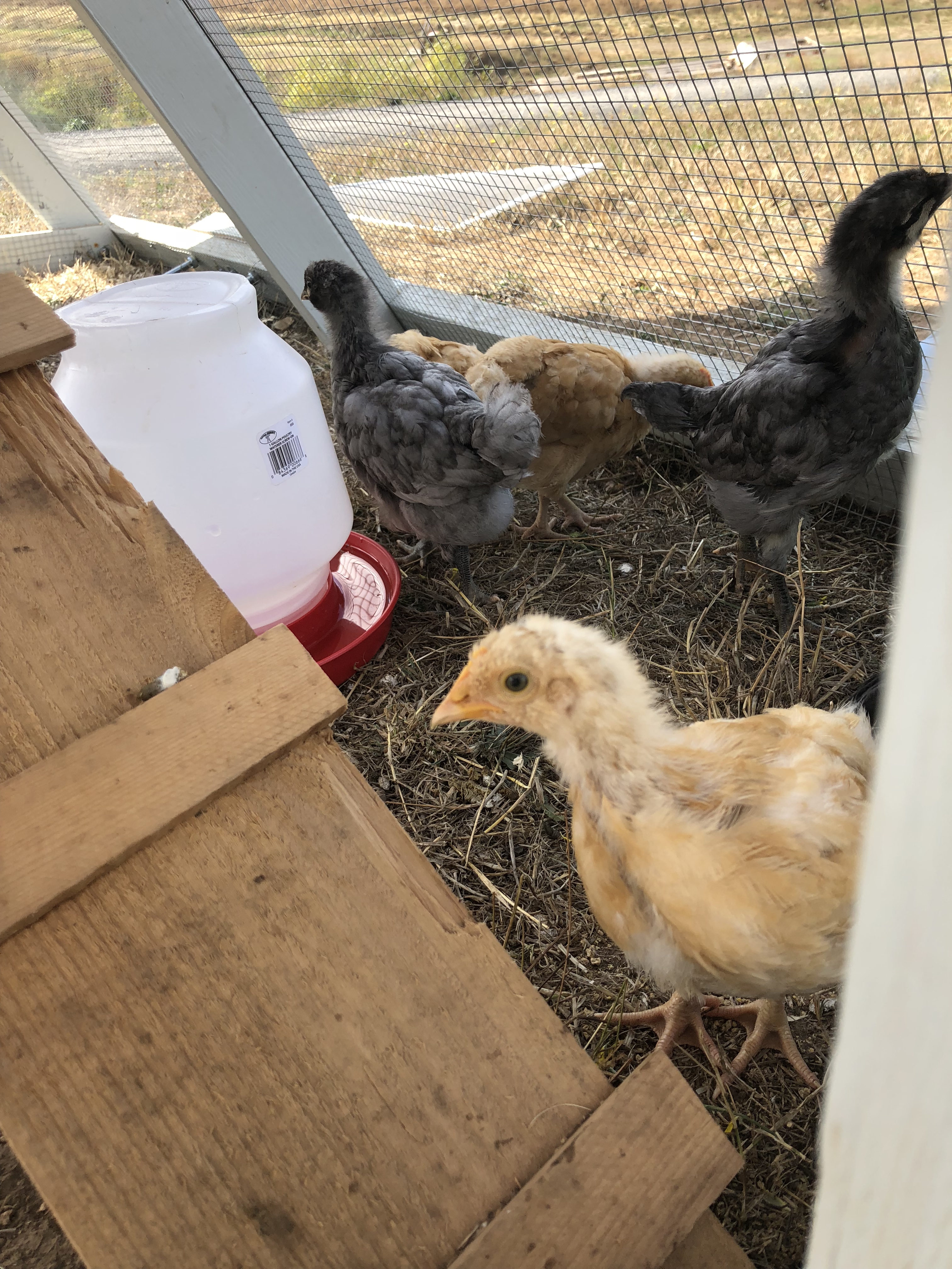 C0ED36DD-B592-44AC-BBEC-65962DEB088A