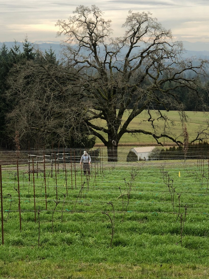 71A746B8-B1B5-4FE8-A0A8-B4632474E4B9