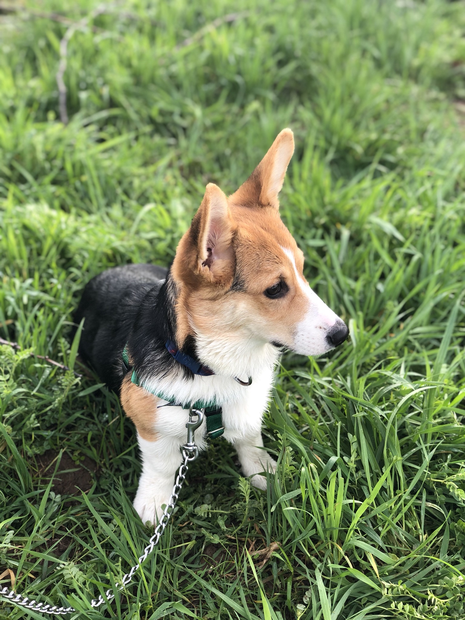 C5B178B4-5DD7-4B66-89C0-9FE2C509B2E1