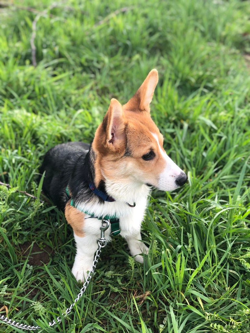 C5B178B4-5DD7-4B66-89C0-9FE2C509B2E1