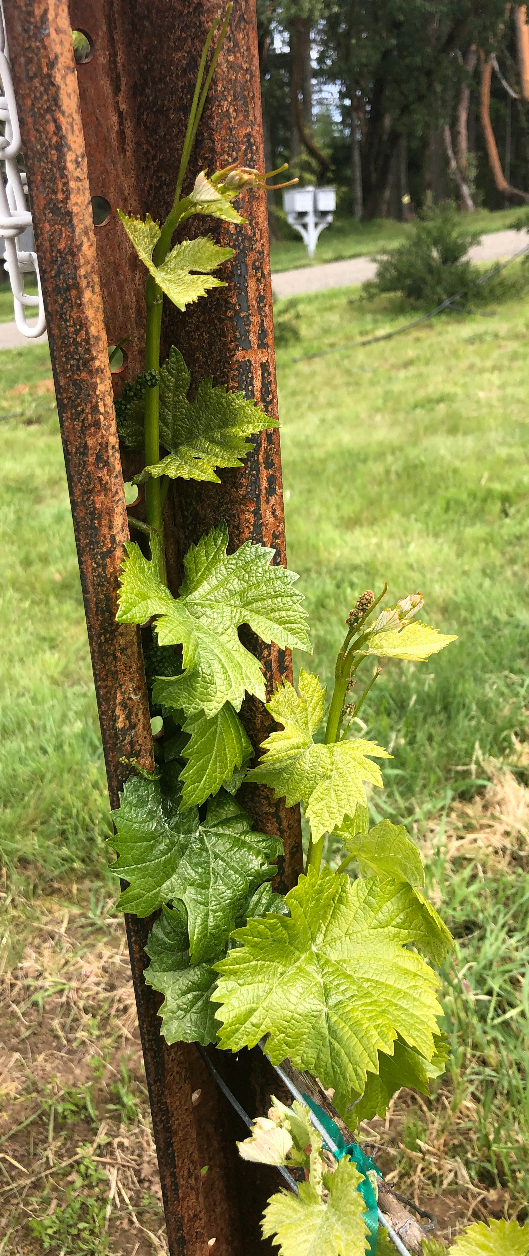 60013C5D-D526-468C-9E76-1749E7F303CC