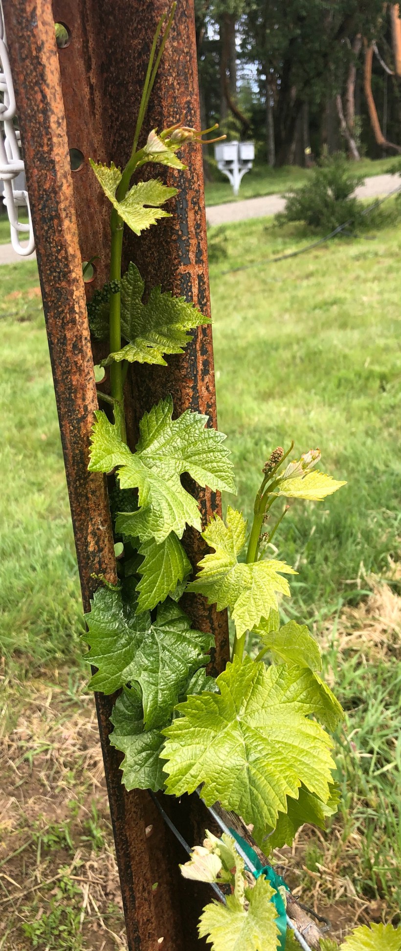 60013C5D-D526-468C-9E76-1749E7F303CC