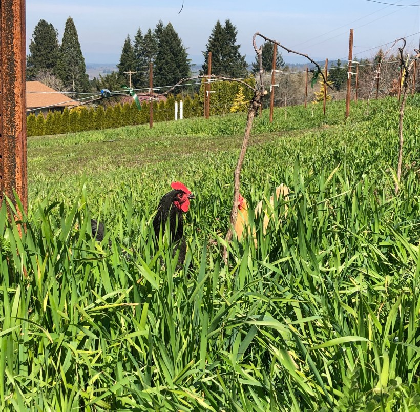 93ED345C-281B-4BF9-BCA7-89CE3F2890C9